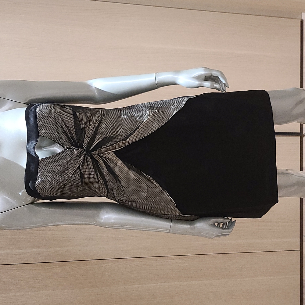 Nancy Rose silk dress NWT